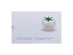 华圣元牌番茄红素软胶囊有哪些原料成分 适合哪些人吃