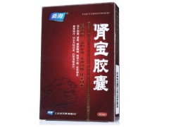 肾宝胶囊的说明书 肾宝片和肾宝合剂哪个好