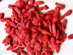 每天吃枸杞好么   吃枸杞有什么好处