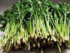补肾阳的食物 补肾阳有什么食物