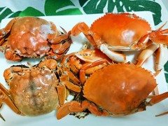 大闸蟹可以生腌吗 生腌大闸蟹的做法