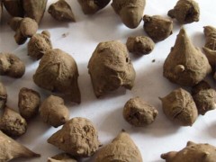 川乌的功效与作用 川乌对人的好处