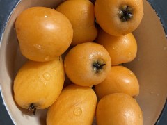 枇杷怎么吃 枇杷的吃法
