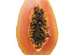 木瓜葛根代用茶能催乳吗 木瓜葛根代用茶多少钱