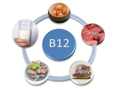 vb12是什么 vb12的功效与用法用量