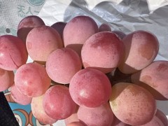 含有蛋白质的水果有哪些，水果含蛋白质一览表