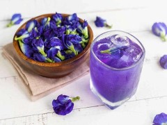 蝶豆花的功效与作用及禁忌 蝶豆花有什么功效