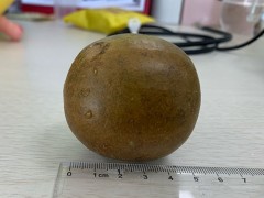 罗汉果功效与禁忌是哪些 罗汉果多少钱一个