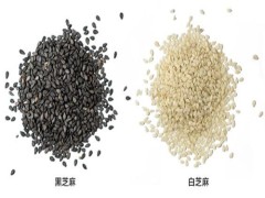 芝麻热量 芝麻热量比较高