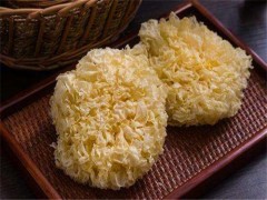 什么含胶原蛋白 含胶原蛋白的食物有哪些