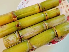 甘蔗是水果吗 甘蔗属于水果吗