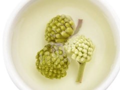 绿萝花的作用 绿萝花茶的功效和作用