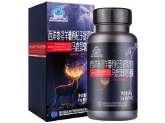 起阳草胶囊多少钱一盒 起阳草胶囊真假