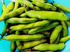 蚕豆过敏吗 蚕豆的功效与作用禁忌