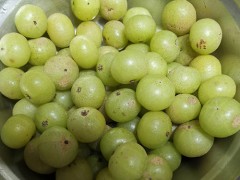 油柑太涩了怎么办 油柑性寒凉吗
