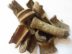 紫荆皮的功效与作用 紫荆皮的功效与作用及禁忌