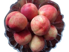 水蜜桃的好处 详解水蜜桃的作用是什么
