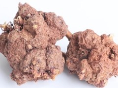 消瘤果的功效与主治作用 消瘤果的三大功效