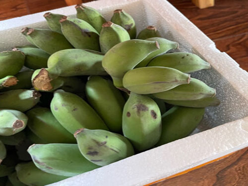 胃病克星第一名十大养胃的食物