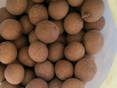 秋天吃桂圆上火吗 秋天吃桂圆怎么样