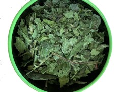 薄荷活络膏的说明书 薄荷活络膏能退烧吗