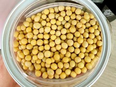 黄豆浆的功效与作用 黄豆浆有什么好处