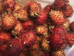 毛荔枝的禁忌 圆黄梨孕妇能吃吗