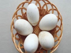 鹅蛋怎么吃 鹅蛋的食用方法