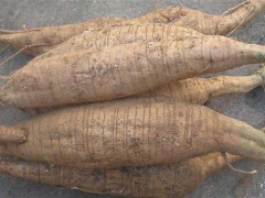 干葛根怎么吃 干葛根片的作用与功效