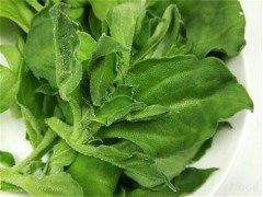 冰菜的功效和副作用 冰菜怎么样