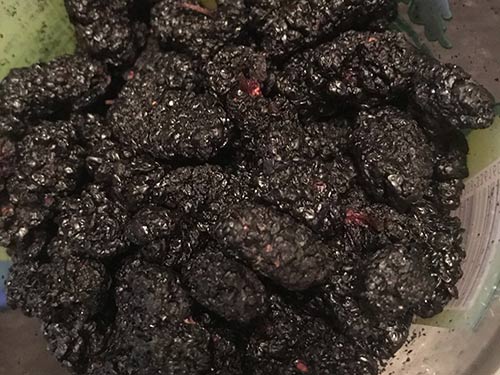干桑葚的功效与作用及食用方法
