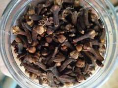 公丁香的功效与作用及食用方法 公丁香的好处与使用方法