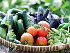 如何清肺养肺 清肺养肺的食物