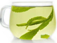 甜菊叶的功效与作用 甜菊叶的好处