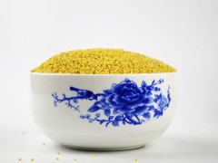 小米有什么营养和功效 小米的作用