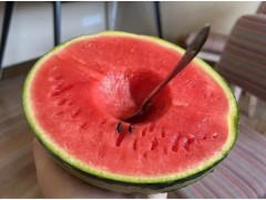 夏日吃点它轻松健脾开胃