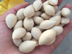杏干的功效及作用 杏干有哪些功效及作用