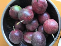 百香果的作用与功效 吃百香果的好处