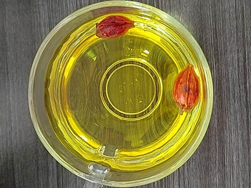 栀子花叶子发黄怎么治 栀子花叶子发黄是怎么引起的