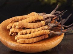 冬虫夏草食用方法 冬虫夏草的功效