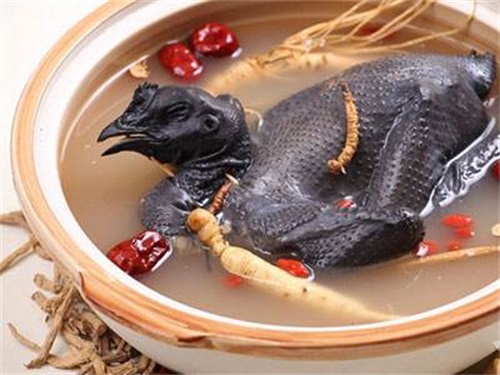 乌骨鸡的功效与作用及禁忌