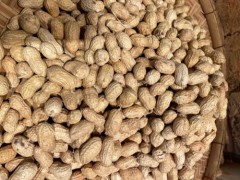 下奶通乳的食材有哪些，最有效的下奶通乳食物排行
