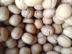 秋季进补吃哪些食物最好 秋季进补需要注意什么