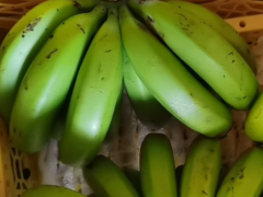治疗失眠好的6种水果