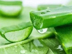 被蚊子咬了怎么止痒 蚊子咬了怎么消肿止痒最快