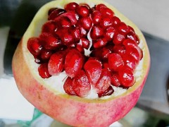 软籽石榴与普通石榴的区别 软籽石榴的价格