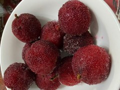 杨梅酒的功效 杨梅酒的泡法
