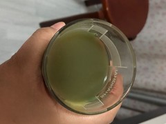 芹菜汁减肥吗  芹菜汁的做法