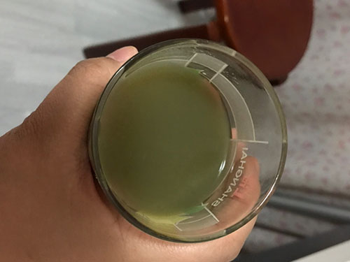 芹菜汁减肥吗