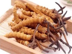 冬虫夏草吃法 冬虫夏草有什么功效